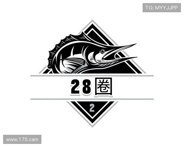 评述28圈